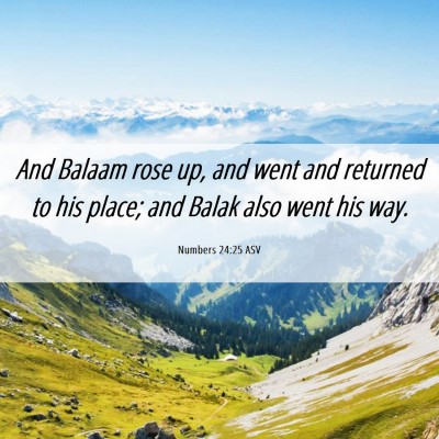 Picture 06 - Numbers 24:25 ASV - And Balaam rose up, and went and returned to his - Bible Verse Picture