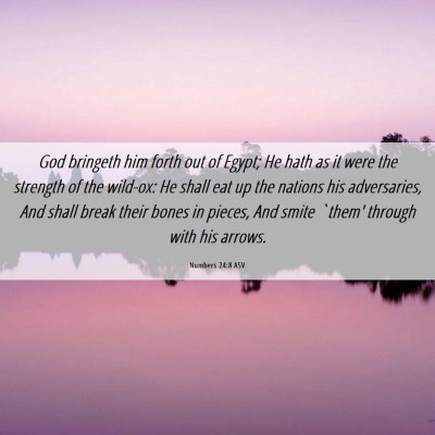 Picture 06 - Numbers 24:8 ASV - God bringeth him forth out of Egypt; He hath as - Bible Verse Picture