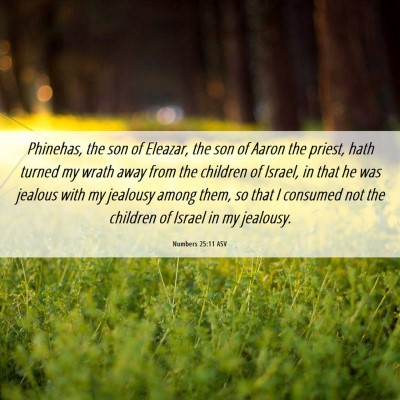 Picture 06 - Numbers 25:11 ASV - Phinehas, the son of Eleazar, the son of Aaron - Bible Verse Picture