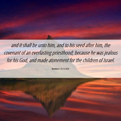 Picture 06 - Numbers 25:13 ASV - and it shall be unto him, and to his seed after - Bible Verse Picture