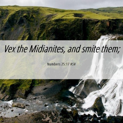Picture 06 - Numbers 25:17 ASV - Vex the Midianites, and smite - Bible Verse Picture