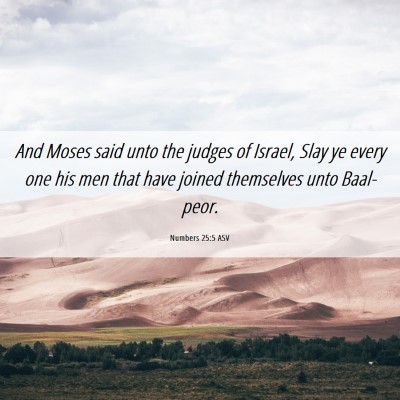 Picture 06 - Numbers 25:5 ASV - And Moses said unto the judges of Israel, Slay ye - Bible Verse Picture