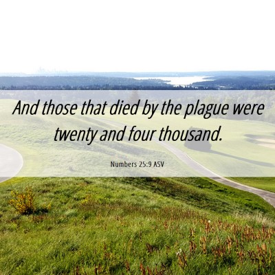 Picture 06 - Numbers 25:9 ASV - And those that died by the plague were twenty and - Bible Verse Picture