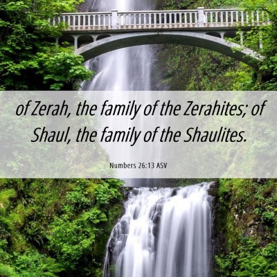 Picture 06 - Numbers 26:13 ASV - of Zerah, the family of the Zerahites; of Shaul, - Bible Verse Picture