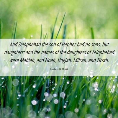 Picture 06 - Numbers 26:33 ASV - And Zelophehad the son of Hepher had no sons, but - Bible Verse Picture
