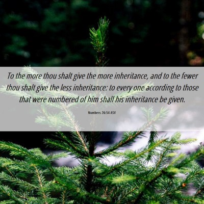 Picture 06 - Numbers 26:54 ASV - To the more thou shalt give the more inheritance, - Bible Verse Picture