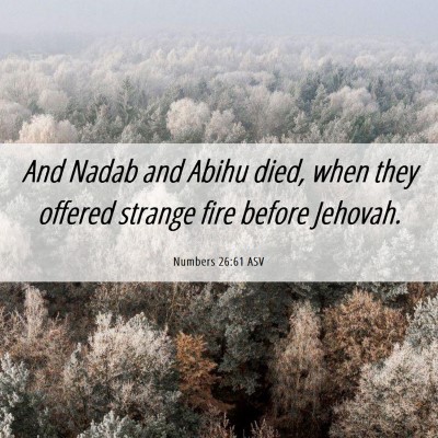 Picture 06 - Numbers 26:61 ASV - And Nadab and Abihu died, when they offered - Bible Verse Picture