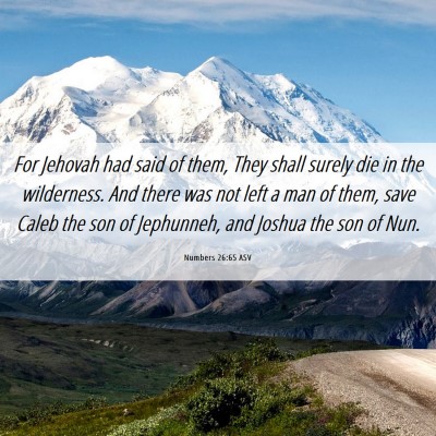 Picture 06 - Numbers 26:65 ASV - For Jehovah had said of them, They shall surely - Bible Verse Picture