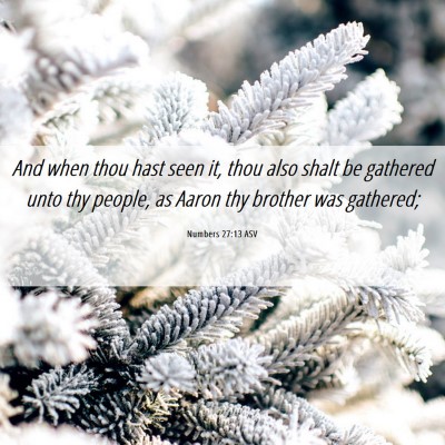 Picture 06 - Numbers 27:13 ASV - And when thou hast seen it, thou also shalt be - Bible Verse Picture