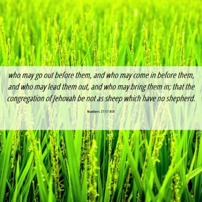 Picture 06 - Numbers 27:17 ASV - who may go out before them, and who may come in - Bible Verse Picture