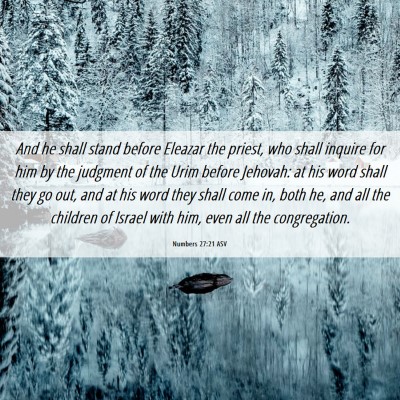 Picture 06 - Numbers 27:21 ASV - And he shall stand before Eleazar the priest, who - Bible Verse Picture
