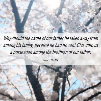 Picture 06 - Numbers 27:4 ASV - Why should the name of our father be taken away - Bible Verse Picture