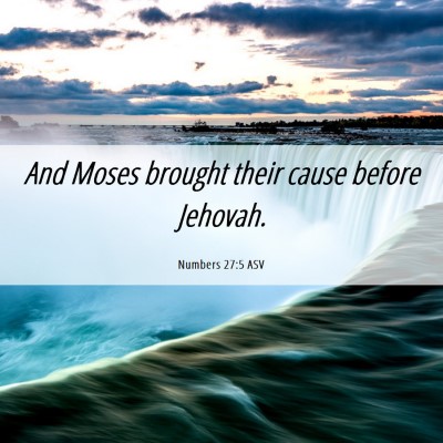 Picture 06 - Numbers 27:5 ASV - And Moses brought their cause before - Bible Verse Picture