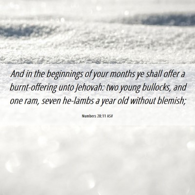 Picture 06 - Numbers 28:11 ASV - And in the beginnings of your months ye shall - Bible Verse Picture