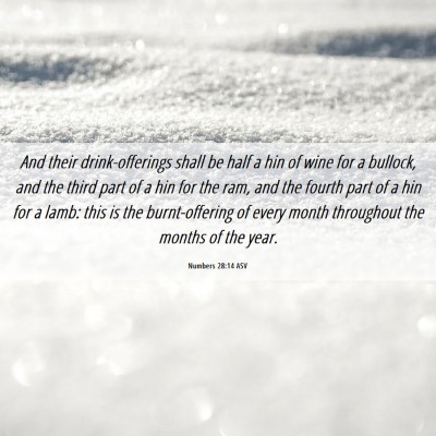 Picture 06 - Numbers 28:14 ASV - And their drink-offerings shall be half a hin of - Bible Verse Picture