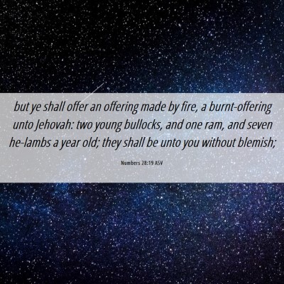 Picture 06 - Numbers 28:19 ASV - but ye shall offer an offering made by fire, a - Bible Verse Picture