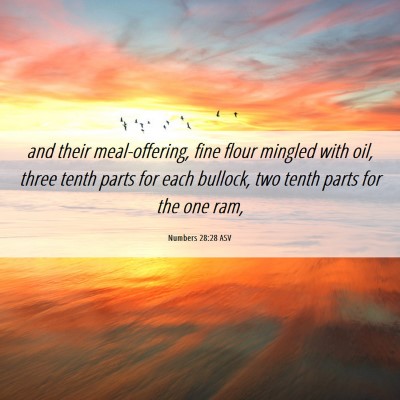 Picture 06 - Numbers 28:28 ASV - and their meal-offering, fine flour mingled with - Bible Verse Picture