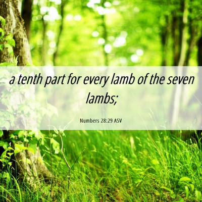 Picture 06 - Numbers 28:29 ASV - a tenth part for every lamb of the seven - Bible Verse Picture