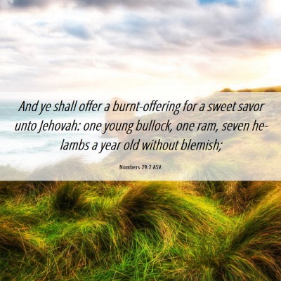 Picture 06 - Numbers 29:2 ASV - And ye shall offer a burnt-offering for a sweet - Bible Verse Picture