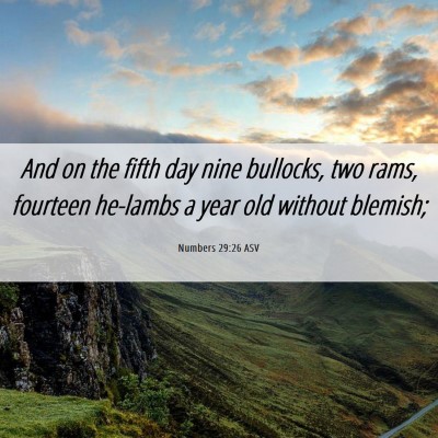 Picture 06 - Numbers 29:26 ASV - And on the fifth day nine bullocks, two rams, - Bible Verse Picture