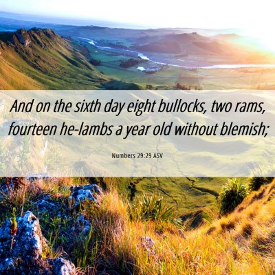 Picture 06 - Numbers 29:29 ASV - And on the sixth day eight bullocks, two rams, - Bible Verse Picture