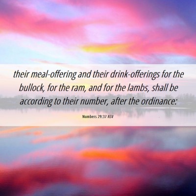 Picture 06 - Numbers 29:37 ASV - their meal-offering and their drink-offerings for - Bible Verse Picture