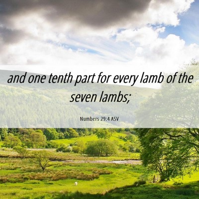 Picture 06 - Numbers 29:4 ASV - and one tenth part for every lamb of the seven - Bible Verse Picture