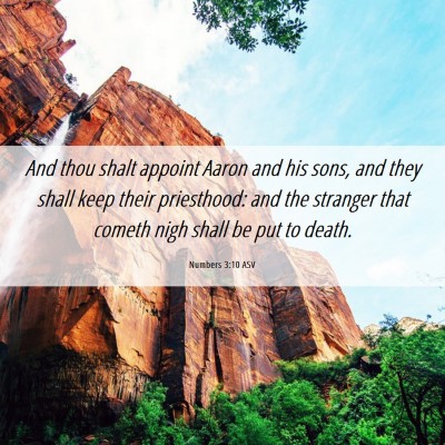 Picture 06 - Numbers 3:10 ASV - And thou shalt appoint Aaron and his sons, and - Bible Verse Picture