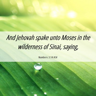 Picture 06 - Numbers 3:14 ASV - And Jehovah spake unto Moses in the wilderness of - Bible Verse Picture
