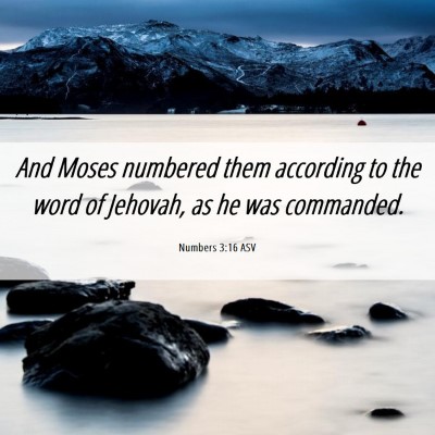 Picture 06 - Numbers 3:16 ASV - And Moses numbered them according to the word of - Bible Verse Picture