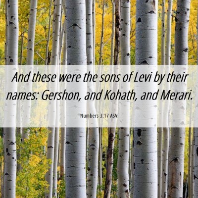 Picture 06 - Numbers 3:17 ASV - And these were the sons of Levi by their names: - Bible Verse Picture