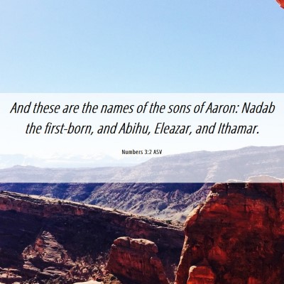 Picture 06 - Numbers 3:2 ASV - And these are the names of the sons of Aaron: - Bible Verse Picture