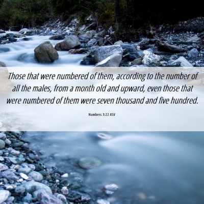 Picture 06 - Numbers 3:22 ASV - Those that were numbered of them, according to - Bible Verse Picture