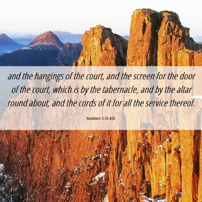 Picture 06 - Numbers 3:26 ASV - and the hangings of the court, and the screen for - Bible Verse Picture