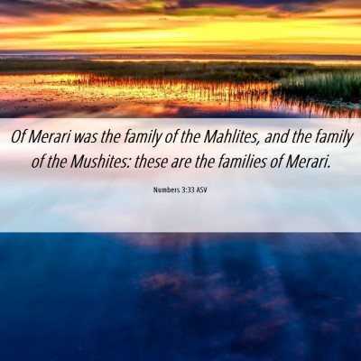 Picture 06 - Numbers 3:33 ASV - Of Merari was the family of the Mahlites, and the - Bible Verse Picture