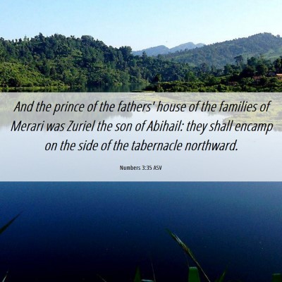 Picture 06 - Numbers 3:35 ASV - And the prince of the fathers' house of the - Bible Verse Picture