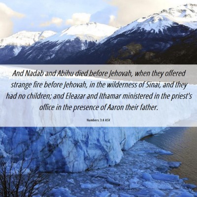 Picture 06 - Numbers 3:4 ASV - And Nadab and Abihu died before Jehovah, when - Bible Verse Picture