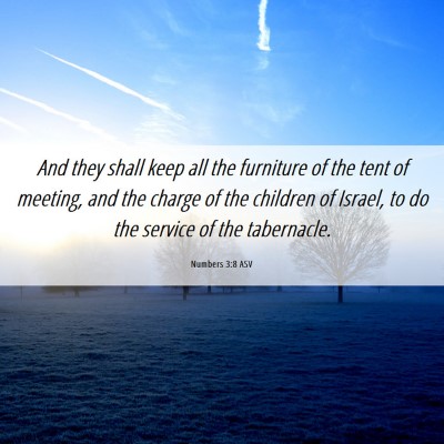 Picture 06 - Numbers 3:8 ASV - And they shall keep all the furniture of the tent - Bible Verse Picture