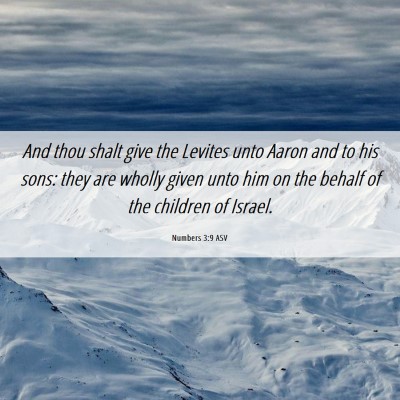 Picture 06 - Numbers 3:9 ASV - And thou shalt give the Levites unto Aaron and to - Bible Verse Picture