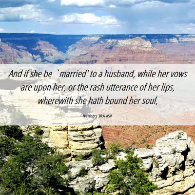 Picture 06 - Numbers 30:6 ASV - And if she be `married' to a husband, while her - Bible Verse Picture