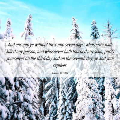Picture 06 - Numbers 31:19 ASV - And encamp ye without the camp seven days: - Bible Verse Picture