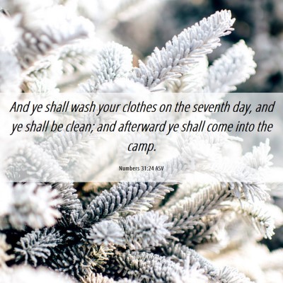 Picture 06 - Numbers 31:24 ASV - And ye shall wash your clothes on the seventh - Bible Verse Picture