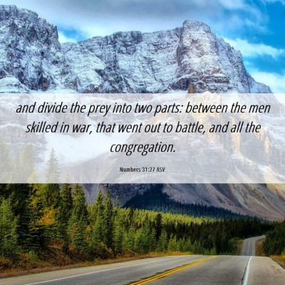Picture 06 - Numbers 31:27 ASV - and divide the prey into two parts: between the - Bible Verse Picture