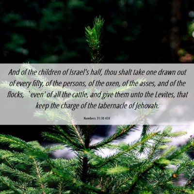 Picture 06 - Numbers 31:30 ASV - And of the children of Israel's half, thou shalt - Bible Verse Picture