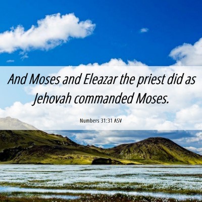 Picture 06 - Numbers 31:31 ASV - And Moses and Eleazar the priest did as Jehovah - Bible Verse Picture