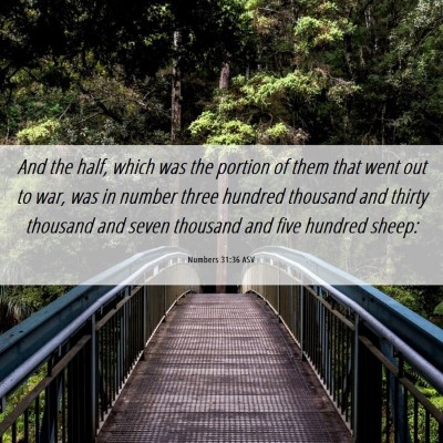 Picture 06 - Numbers 31:36 ASV - And the half, which was the portion of them that - Bible Verse Picture