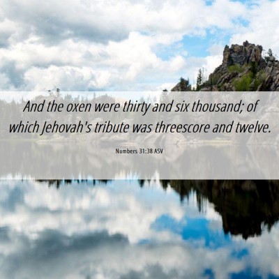 Picture 06 - Numbers 31:38 ASV - And the oxen were thirty and six thousand; of - Bible Verse Picture