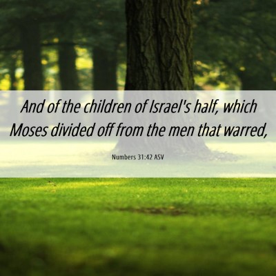 Picture 06 - Numbers 31:42 ASV - And of the children of Israel's half, which Moses - Bible Verse Picture