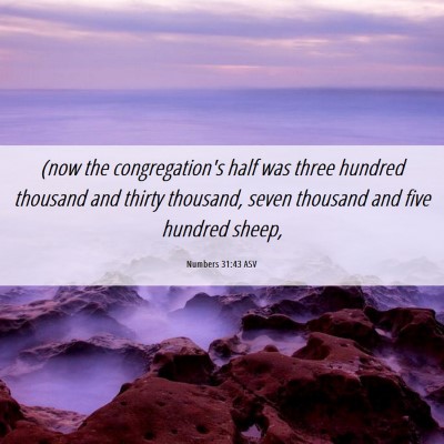 Picture 06 - Numbers 31:43 ASV - (now the congregation's half was three hundred - Bible Verse Picture