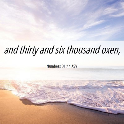 Picture 06 - Numbers 31:44 ASV - and thirty and six thousand - Bible Verse Picture